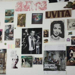 Bolita en Miau Miau 2009